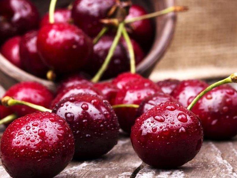 Вишня купить саженцы из питомника в Краснокаменске